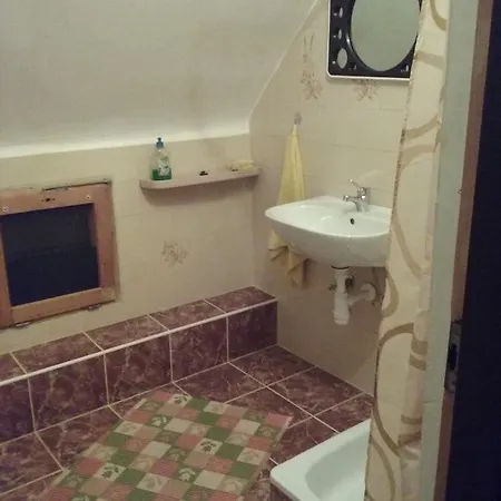 Saci Vendeghaz * Шаторальяуйхей