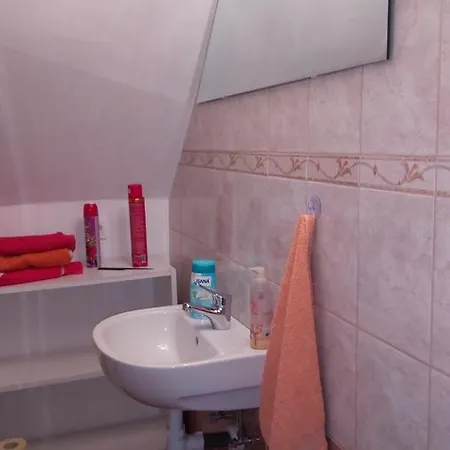 Saci Vendeghaz * Шаторальяуйхей